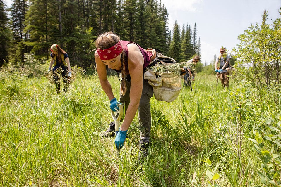 Conservation workers in the field
