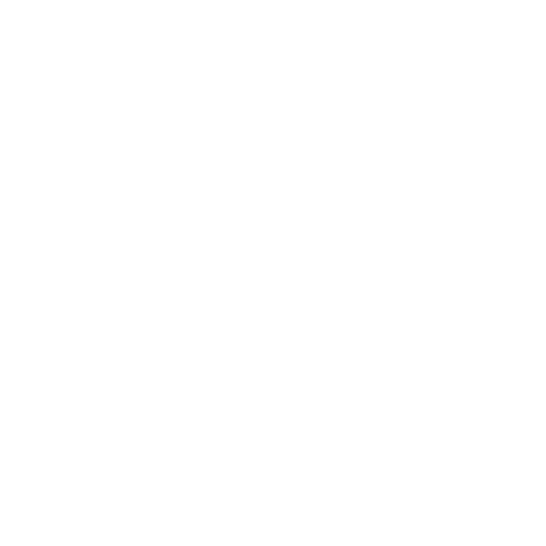 satisfaction guarantee icon - a checkmark in a medal
