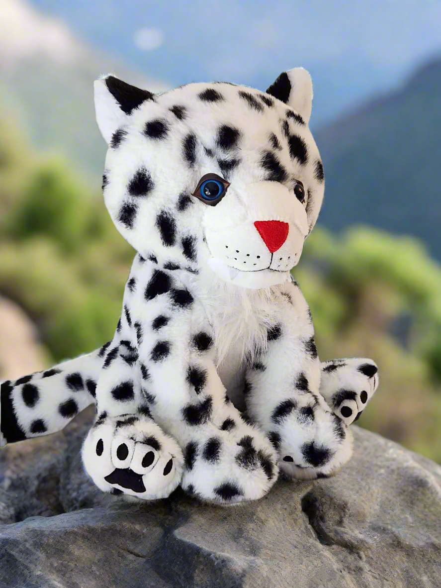 360 degree view of Tashi the Snow Leopard
