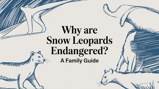 Why Are Snow Leopards Endangered? A Family Guide