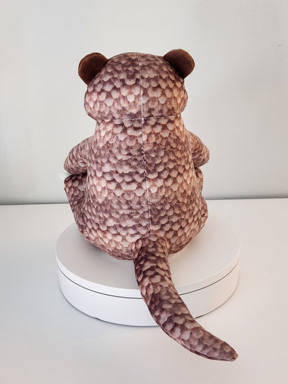 Paulie the pangolin back view