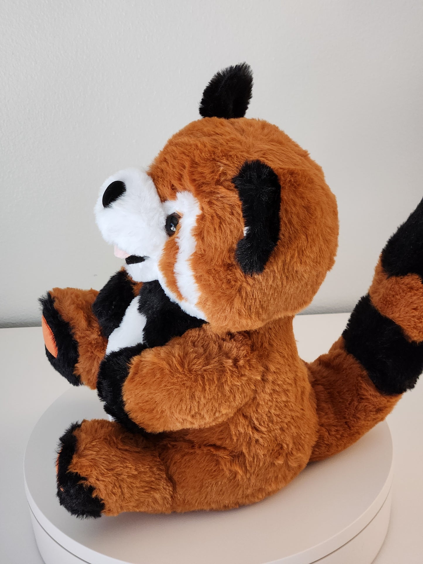 Ruby the red panda side view