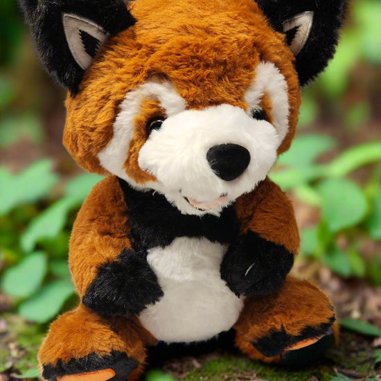 360 degree view of Ruby the Red Panda