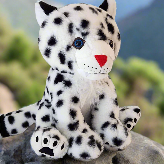 360 degree view of Tashi the Snow Leopard